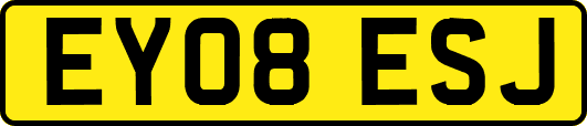 EY08ESJ