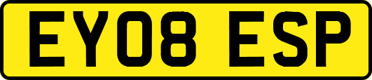 EY08ESP