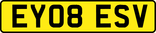 EY08ESV