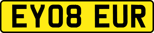 EY08EUR
