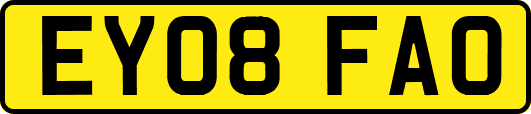 EY08FAO