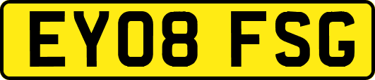 EY08FSG