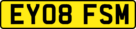 EY08FSM