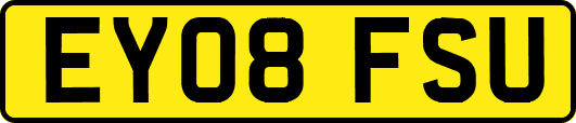 EY08FSU