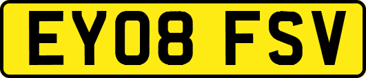 EY08FSV