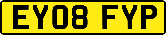 EY08FYP