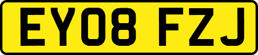 EY08FZJ