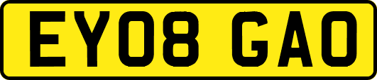 EY08GAO