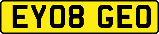 EY08GEO