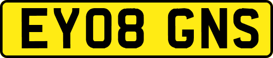 EY08GNS