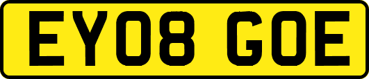 EY08GOE