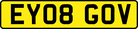 EY08GOV