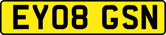 EY08GSN