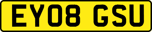 EY08GSU