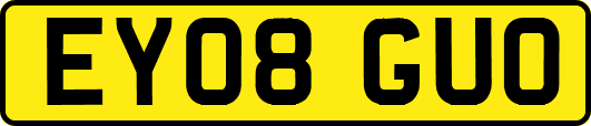 EY08GUO