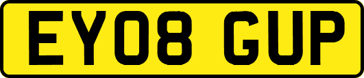 EY08GUP