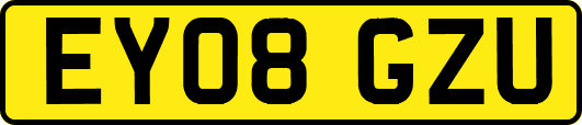 EY08GZU