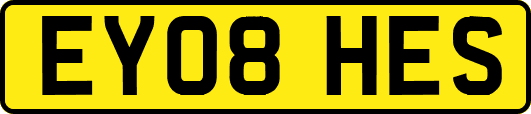 EY08HES