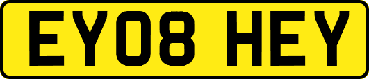 EY08HEY