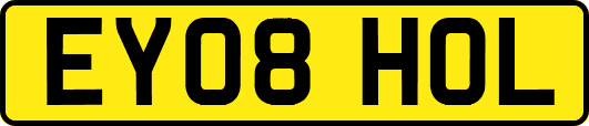 EY08HOL