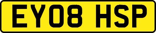 EY08HSP