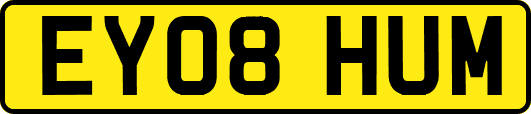 EY08HUM