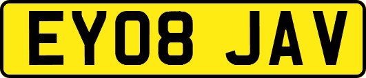EY08JAV
