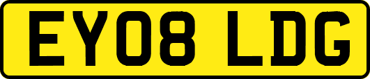 EY08LDG