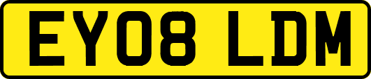 EY08LDM