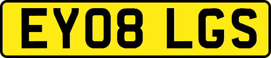 EY08LGS