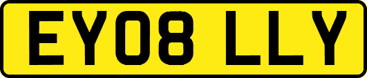 EY08LLY