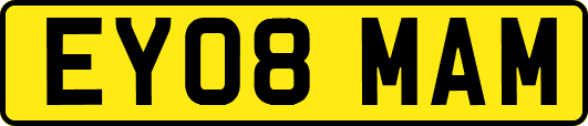EY08MAM