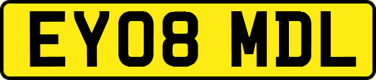 EY08MDL