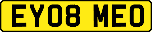 EY08MEO