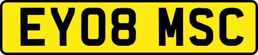 EY08MSC