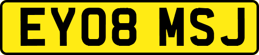 EY08MSJ