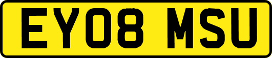 EY08MSU