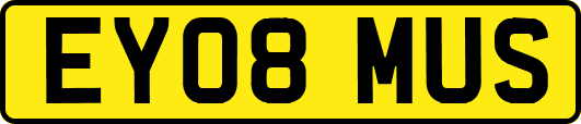 EY08MUS