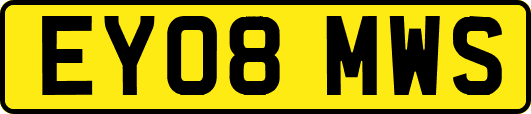 EY08MWS