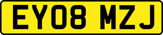 EY08MZJ