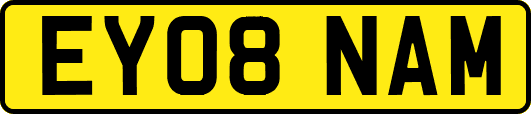EY08NAM