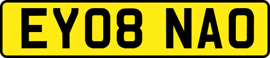 EY08NAO