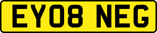 EY08NEG