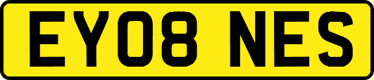EY08NES