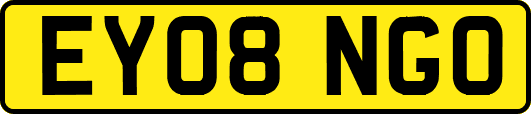 EY08NGO