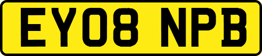 EY08NPB
