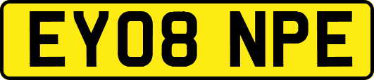 EY08NPE