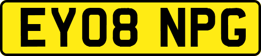 EY08NPG