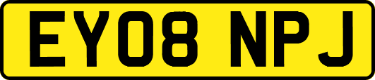 EY08NPJ