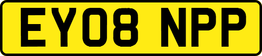 EY08NPP